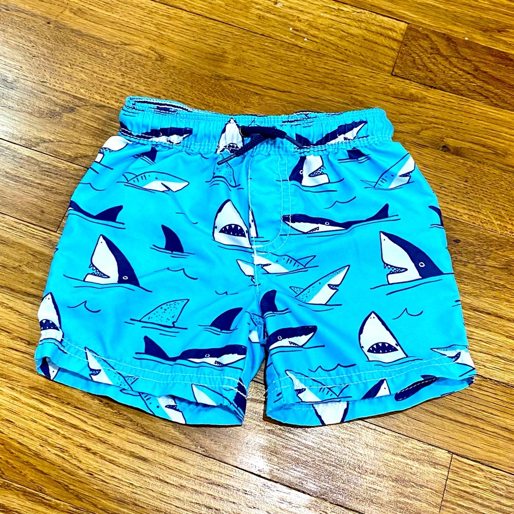 Carter’s Boys Swim Trunks 18 Months